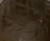 黑龙江体育馆坍塌事故致3人遇难 负责人已被警方控制！