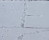 受“上岸心愿路线”启发 一女生3小时在雪地踩出上岸祝福！