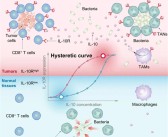 中国科学家破解细菌与肿瘤的“对话”：治疗癌症不再以毒攻毒！