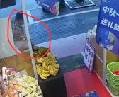 大妈偷走榴莲嫌是生的找店家退钱 网友：这脸皮真是绝了！