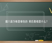腊八蒜为啥是绿色的 背后真相是什么？