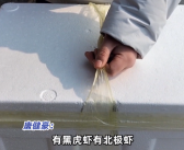 25岁小伙手提30斤大虾返乡过年：自称今年赚了12万！