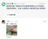 微信新功能+1！视频号评论区可以斗图了：动图、静图都能发!