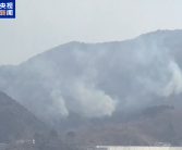 日本遭遇50年来最严重山火：过火面积相当于3600个足球场！