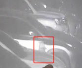 男子因女球友爽约拧松其刹车油管 记仇1年多：网友感慨太可怕 谋杀未遂！