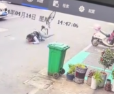 目睹路人骑车摔倒 3人出于礼貌和尊重躲进屋里笑！
