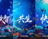 阿里动物园上新：大文娱集团更名为虎鲸文娱集团！