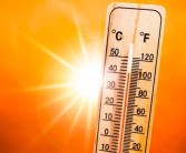 今年夏天热死蚊子 为何这么热：专家解释原因！