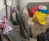 惊呆了！3个女孩2个月将房子住“包浆”跑路