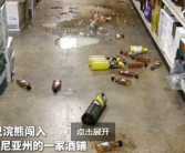 美国一浣熊大闹酒铺 偷喝烈酒后醉倒厕所 超萌姿态逗笑网友 !