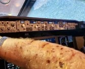 史上第一次！飞机被天外来客砸中 无奈迫降！