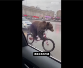 你能分辨出吗！莫斯科熊骑自行车AI视频爆火 骗过百万网友！