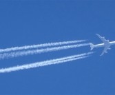 阿根廷一波音737客机起飞后撞鸟 发动机爆炸后紧急迫降！