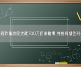 信贷经理诈骗农民贷款700万用来赌博 判处有期徒刑十六年！