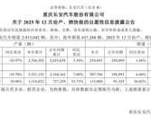 2025中国汽车第一城之争尘埃落定：重庆近250万辆领跑 合肥新能源破120万辆 ！