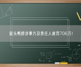 鼠头鸭脖涉事方及责任人被罚706万！