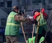 环卫工人用毛巾擦树枝引吐槽 官方回应：是在治理煤污病！