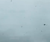 福建雷雨渡江如天降瀑布 江岸雨瀑弥漫狂风呼啸！