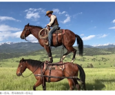 全球首个！OpenAI将推“AI版抖音”：禁止上传实拍内容 视频100%由AI生成！