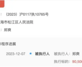 二审维持原判 郑爽被强制执行9050万！