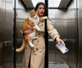 女子抱猫进电梯手机掉进电梯缝 急中生智取出手机 ！