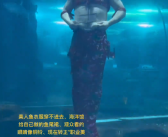 男子替班演美人鱼走红：开始不想干 被馆长奖金砸服！
