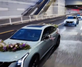 网友曝光黄子韬婚礼车队：40辆凯迪拉克撑排面 车队集结视频很拉风！