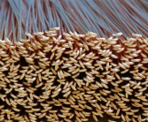 铜等大宗商品飞涨！格力回应制定相应管控政策：空调不会铝代铜 ！