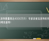中国流浪狗数量高达4000万只！专家谈被流浪狗咬伤如何追责：谁喂找谁等！