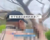 在公园偶遇大爷盘树 网友：终于知道那些无皮树的来源了！