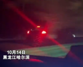 新手女司机深夜驾车高速逆行！被拦截后语出惊人：我咋的了
