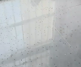 女子32楼家爬满隐翅虫喷了4瓶杀虫剂 老公杀虫中毒！