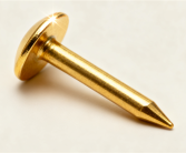 中国已确立11颗金钉子！分布地点公布 全在南方！