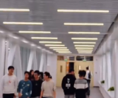 边吃雪糕边赏雪景！哈工大学生去上课像登机