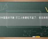 麦当劳中国涨价不断 打工人快要吃不起了：你支持西餐还是中餐？
