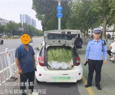 山东“豆橛子”又爆仓了 A00级小汽车塞满豆角 轮胎都压瘪了！