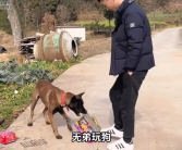 新老女婿回老婆娘家拜年区别太明显引热议：网友看完大呼“尴尬”！