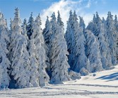 本周 北方将迎来今冬最大范围降雪 ！