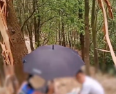 女子爬山遭雷击倒地 脖子周围出现黑色痕迹 身旁树木被劈开！