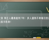 咬伤女孩 狗主人最高能判7年！多人遛狗不牵绳引热议 有宝妈带铁扳手防身！