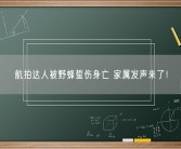 航拍达人被野蜂蜇伤身亡 家属发声来了！