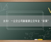 太冷！一公交公司新能源公交车全“趴窝”