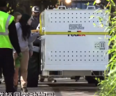 旅美大熊猫美香一家三口启程回国 欢迎回家！