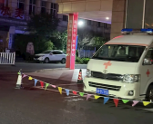 江苏一女子半夜上厕所 马桶里窜出一条蛇顶到屁股！