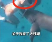 女子生理期海下潜水被鲨鱼咬伤：血腥味刺激鲨鱼 ！
