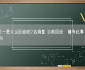 四川又一恶犬当街追咬2名幼童 当地回应：确有此事、所幸未受伤!
