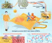 天津大学研发出神奇织物：光照12秒就能升至40℃！