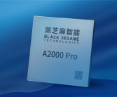芯片被比亚迪采用并量产出货：黑芝麻智能股价日内涨超50%！