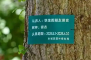 莫言真的在地坛认养了一棵银杏树！