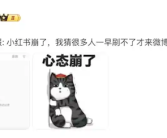 小红书时隔一个月又崩了引热议！官方回应：非服务器端问题！